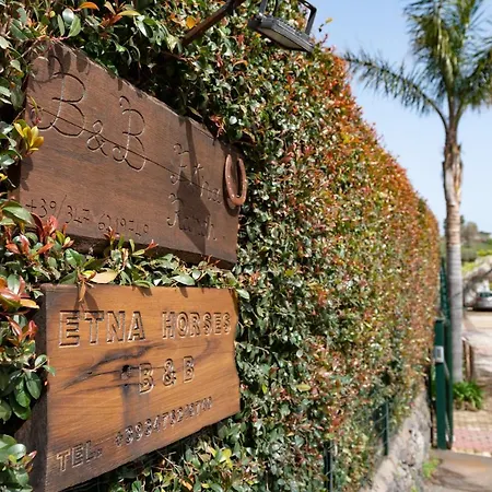 Etna Ranch *