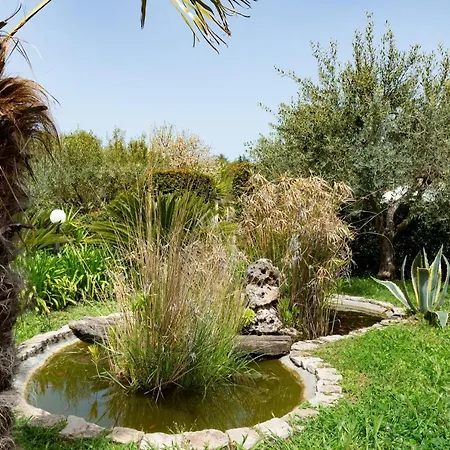 Casa vacanze Etna Ranch
