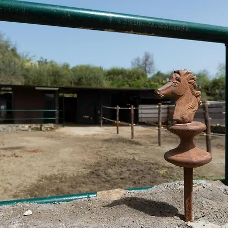 Casa vacanze Etna Ranch